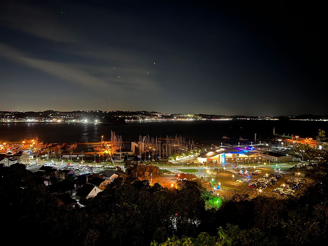 中津宮広場展望台から撮った夜景（江の島ヨットハーバー）